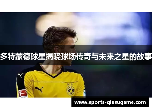 多特蒙德球星揭晓球场传奇与未来之星的故事