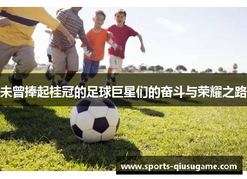 未曾捧起桂冠的足球巨星们的奋斗与荣耀之路