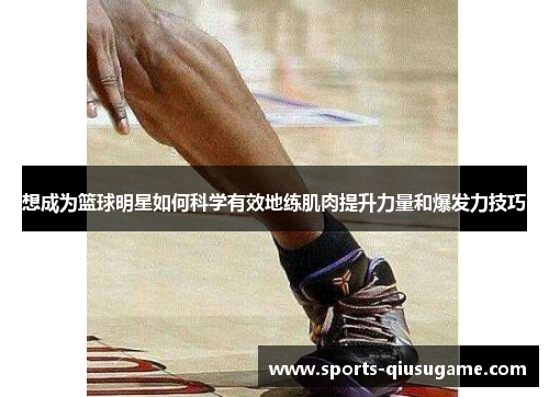 想成为篮球明星如何科学有效地练肌肉提升力量和爆发力技巧